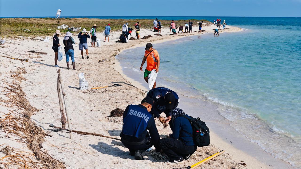 Suman 800 toneladas de hidrocarburo retiradas en costas del Golfo de México: Semarnat