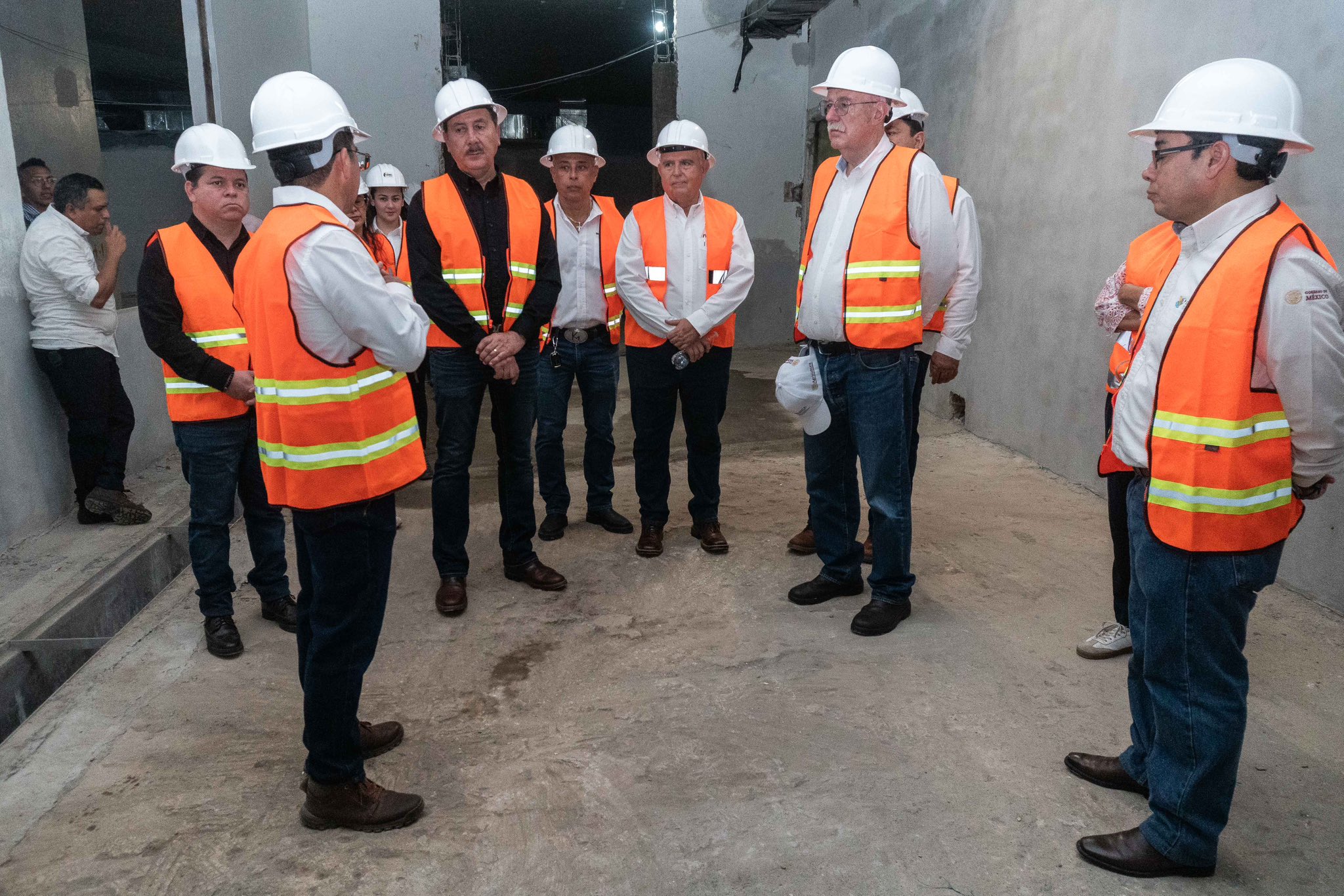 Avanza en Chiapas la primera cepa mexicana de mosca estéril contra el gusano barrenador del ganado