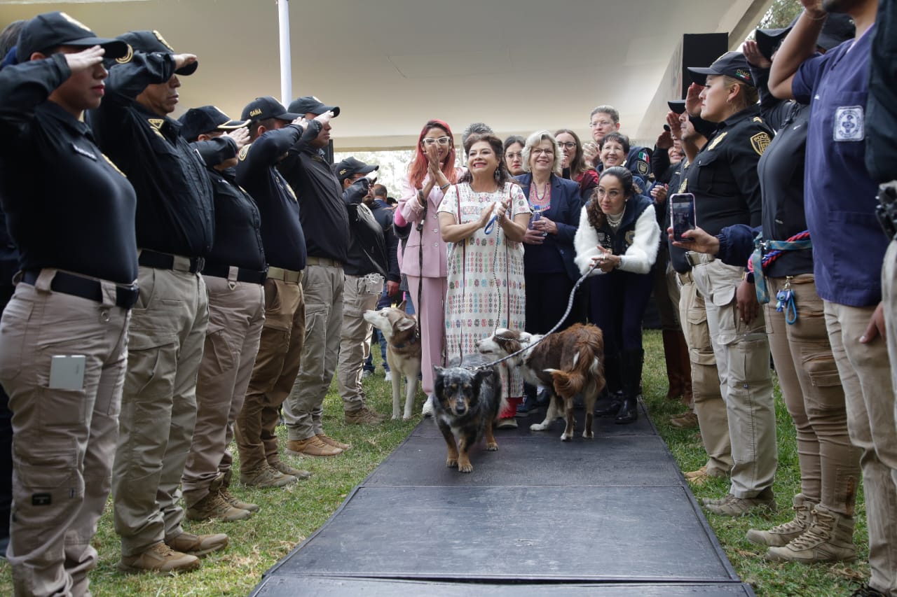 Presentan el Plan Integral de Bienestar Animal en la Ciudad de México